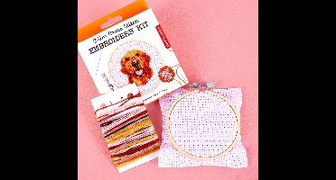 Mini borduurset - Hond van Kikkerland