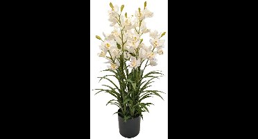 Cymbidium Kunstplant 90 cm - Wit