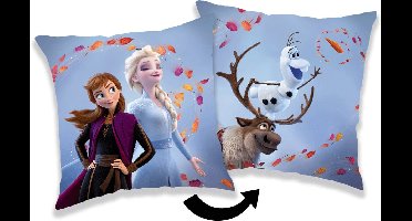 Disney Frozen Sierkussen Wind - 40 x 40 cm - Polyester