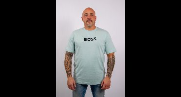 BOSS TS_Logo