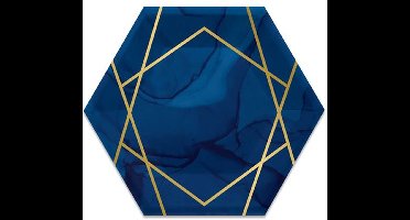 Witbaard Feestbordjes Navy & Gold 20 Cm Karton Blauw/goud 8 Stuks