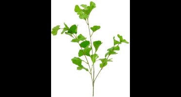Gifts Amsterdam Kunstplant Gingko 90 Cm Zijde Groen