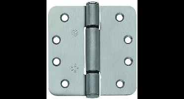 BSW Topforce Scharnier RD 804 STD 102x102 RVS