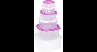 Non-branded Opbergdozenset Polypropyleen Wit/paars 12-delig