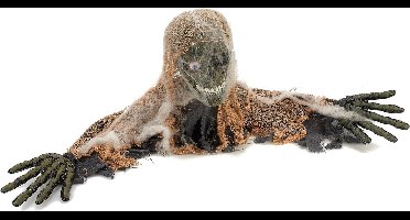 Vegaoo - Zombie versiering voor Halloween