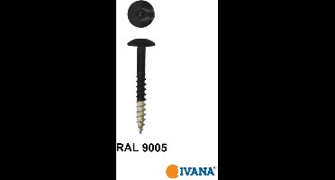 Ivana Gevelschroef t.b.v. Trespa RAL9005 Gitzwart TX-20 4.8x38 - 100St