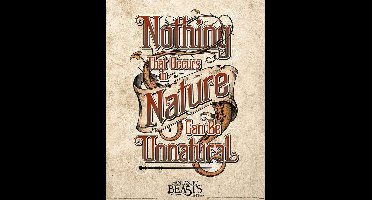 Fantastic Beasts Unnatural Poster 40x50cm