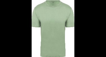 King Essentials The Steve T-Shirt Lichtgroen - Maat XL - Heren - Casual T-shirts