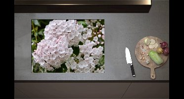 Inductieplaat Beschermer - Breedbladige lepelboom bloemen wit en roze gekleurd - 71x52 cm - 2 mm Dik - Inductie Beschermer - Bescherming Inductiekookplaat - Kookplaat Beschermer van Zwart Vinyl