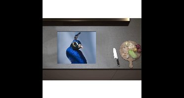 Inductieplaat Beschermer - Chique Poserende Kop van Blauwe Papegaai - 59x50 cm - 2 mm Dik - Inductie Beschermer - Bescherming Inductiekookplaat - Kookplaat Beschermer van Wit Vinyl