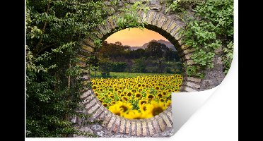 Muurstickers - Sticker Folie - Doorkijk - Bloemen - Zonnebloem - 30x20 cm - Plakfolie - Muurstickers Kinderkamer - Zelfklevend Behang - Zelfklevend behangpapier - Stickerfolie