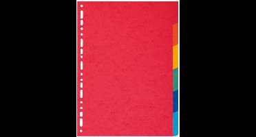 Exacompta 2006E schutkaart Meerkleurig