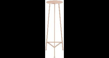 Mica Decorations Adine Plantentafel - H120 x Ø35 cm - Metaal - Lichtroze