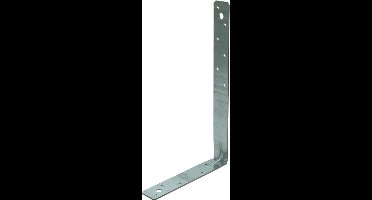 GB Haakanker met Ril 07939 150x250mm verzinkt