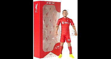 van der Meulen voetbal actiefiguur Liverpool Van Dijk 20cm speelgoed.