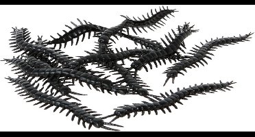 ATOSA - 12 duizendpoot insecten