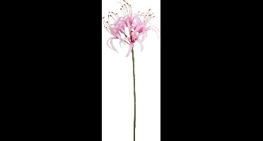 Emerald - Kunstbloem Nerine 63cm lichtroze - Kunstplant voor binnen