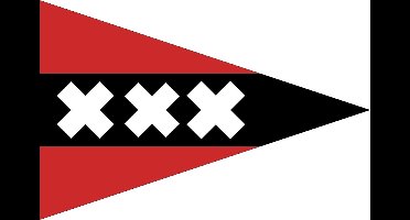 Puntvlag Amsterdam 20x30cm