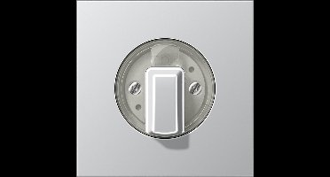 Jung Aluminium/Goudstaal/Chroom Schakelelement/Centrale Plaat - AL1941 - E34ZB