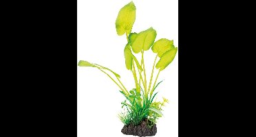 SF Art Plant 25cm Echinodorus