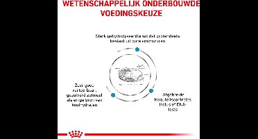 Royal Canin - Hondenvoer Droog Anallergenic - 2 x 8 kg