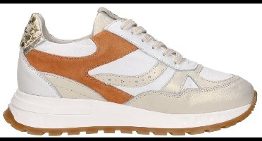 Piedinudi Sneakers - Dames - Multi - Maat:41