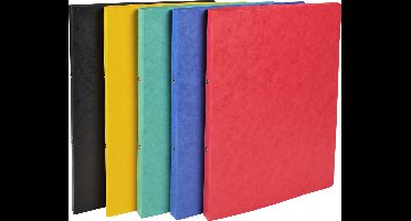 Exacompta 20x Ringband in glanskarton met 2 ringen van 15mm - A4 - Geassorteerd - 54250E