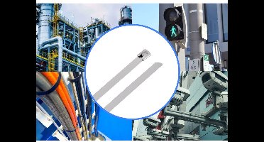 TRU COMPONENTS TC-12647588 Stalen kabelbinder 680 mm 7.9 mm AISI 304 100 stuk(s)