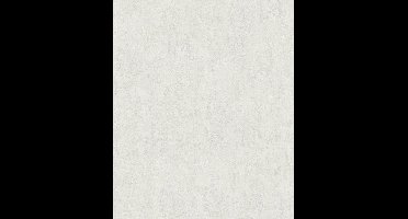 Behang - Betonlook - Lichtgrijs - Glad - Modern - Japandi - Industrieel - Woonkamer - Slaapkamer