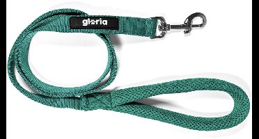 Gloria - Hondenriem - Turquoise - Maat S - 1.5x120cm