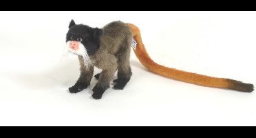 Konings Tamarin aap 20 cm, Hansa