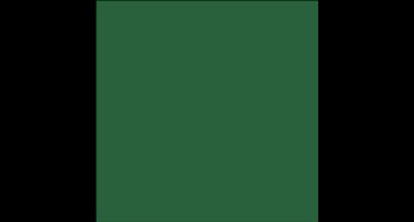 Colortime stiften, lijndikte 5 mm, groen, 12 stuk/ 1 doos