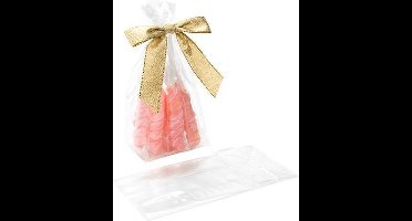 Blokbodemzakken 7.6x2.5x16.5cm (100 stuks) | Uitdeelzakjes