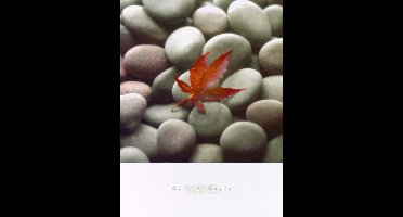 Kunstdruk Glen & Gale Wans - Leaf on Stone 45x61cm