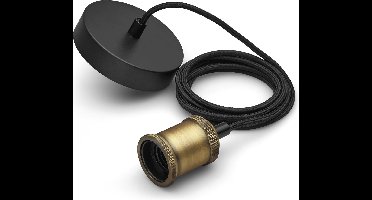 Philips Pendel Goud