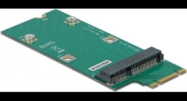 DeLOCK 64103 interfacekaart/-adapter Mini PCIe Intern