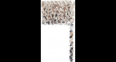 Paillettenband breed elastisch zilver