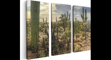 Artaza Canvas Schilderij Drieluik Cactus Planten in het Wild - 120x80 - Foto Op Canvas - Canvas Print
