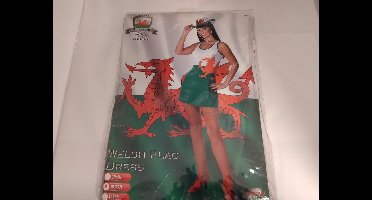 Welsh Flag Dress M