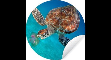 WallCircle - Muurstickers - Behangcirkel - Groene schildpad met kwal - ⌀ 30 cm - Muurcirkel - Zelfklevend - Ronde Behangsticker