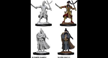 D&D Nolzur's Marvelous Miniatures - Male Elf Paladin