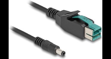 Delock PoweredUSB cable male 12 V to DC 5.5 x 2.5 mm male 2 m