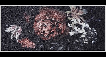 MD Entree - Design mat - Universal - Bella Rosa - Vloerkleed - Antislip - Machine wasbaar - 67 x 150 cm