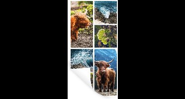 Muurstickers - Sticker Folie - Schotse hooglander - Natuur - Collage - 20x40 cm - Plakfolie - Muurstickers Kinderkamer - Zelfklevend Behang - Zelfklevend behangpapier - Stickerfolie