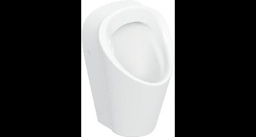 Geberit Urinoir (goot)