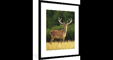 PosterMonkey - Fotolijst - Hert - Natuur - Weide - Bos - Natuur - Poster - 60x80 cm - Frame - Kader - Poster kader - Foto lijst - Poster natuur - Poster hert