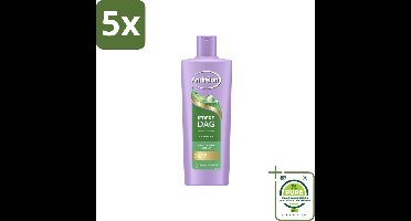 5 x Andrélon – Shampoo – Iedere Dag – 400 ml - Grootverpakking - Dagelijks Haar Wassen - Fris Haar - Gezond Haar - Zonnebloemolie Shampoo - Milde Shampoo