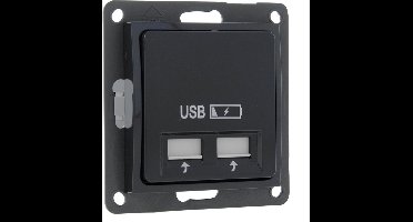 Smartwares S2 Inbouw Wandcontactdoos - 2-voudig USB - 5V- Antraciet