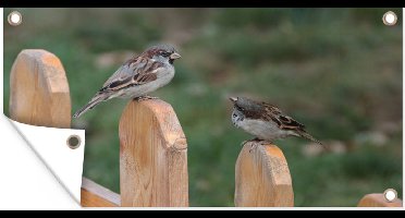 Wanddecoratie buiten Twee mussen zitten samen op een houten hek - 160x80 cm - Tuindoek - Buitenposter