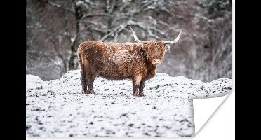 Poster Schotse Hooglander - Boom - Sneeuw - 30x20 cm